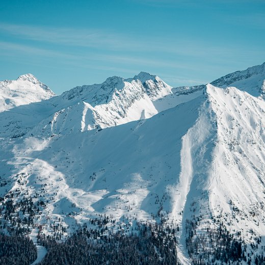 Dieses Bild zeigt den Graukogel im Winter
