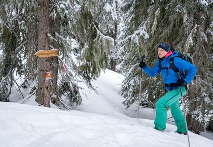 Dieses Bild zeigt einen Skitour-Geher auf dem Graukogel