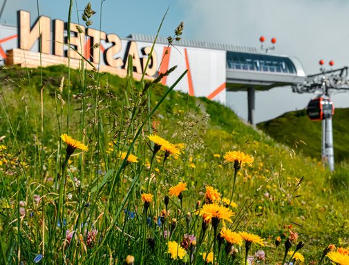Dieses Bild zeigt die Bergstation Schlossalm, das Gasteinschild und eine Sommerliche Blumenwiese