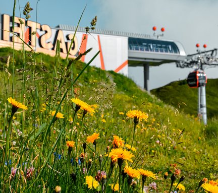 Dieses Bild zeigt die Bergstation Schlossalm, das Gasteinschild und eine Sommerliche Blumenwiese